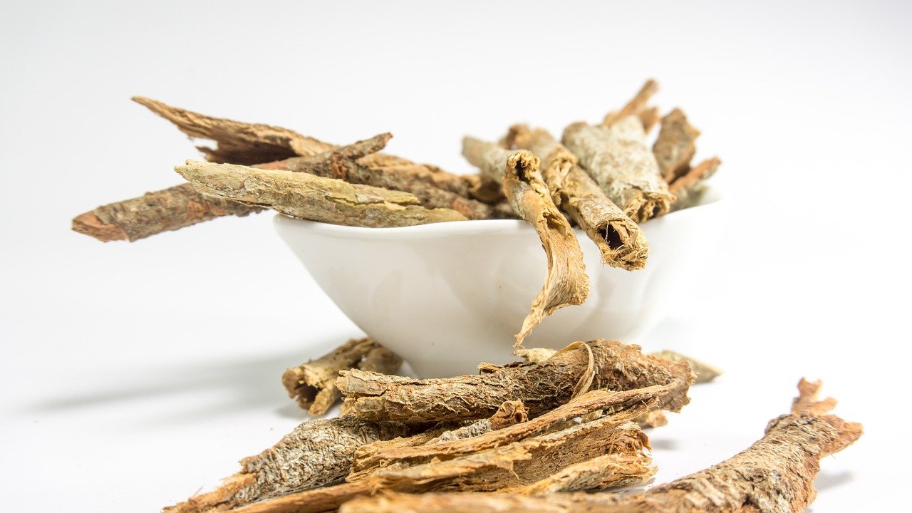Ayurvedic Medicine to Increase Testosterone-2477482.jpg