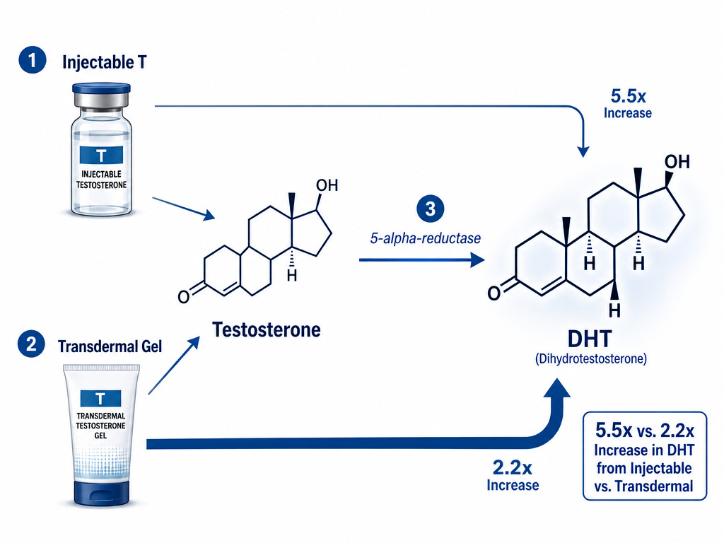 Diagram comparing how TRT delivery methods increase DHT conversion from testosterone