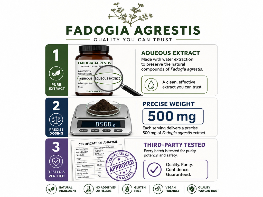 Infographic on how to choose a quality Fadogia Agrestis testosterone supplement.